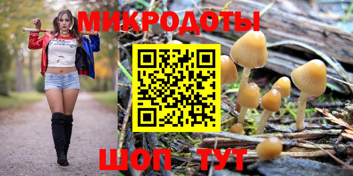 Псилоцибиновые грибы мухоморы Муром