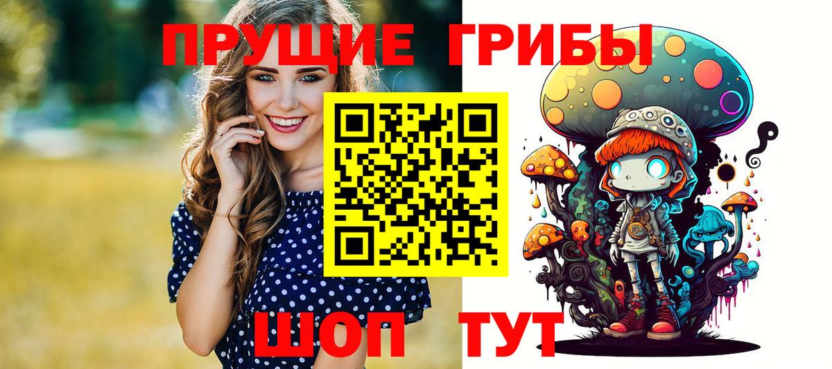 Псилоцибиновые грибы Psilocybe  купить закладку  Муром  Вход с VPN  Псилоцибиновые грибы прущие грибы 